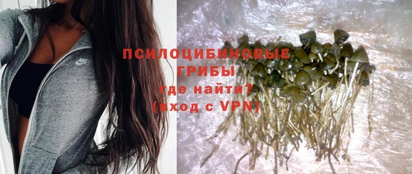 меф Корсаков