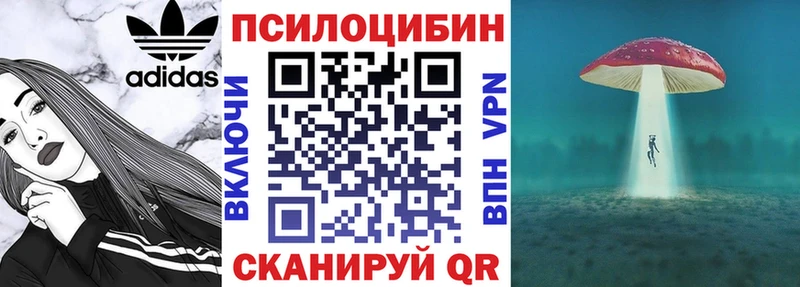 закладки  Усть-Катав  Галлюциногенные грибы прущие грибы 
